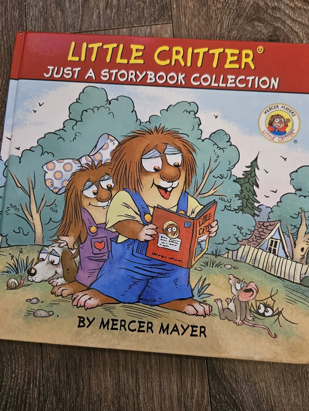 Little Critter Just a Storybook Collection By Mercer Mayer